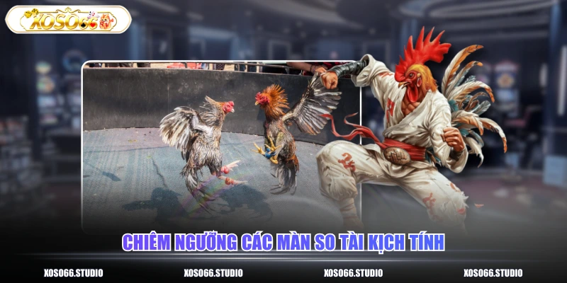 Chiêm ngưỡng các màn so tài kịch tính