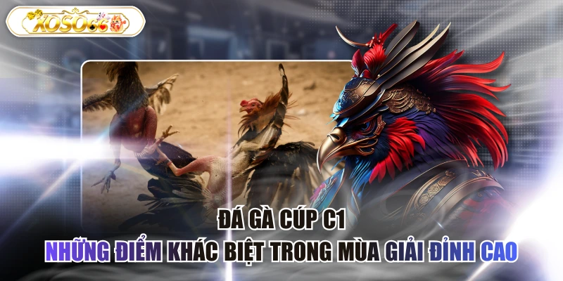 Đá gà cúp C1