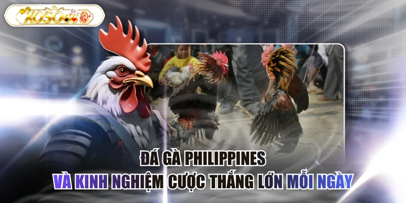Đá gà Philippines