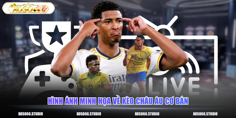 Hình ảnh minh họa về kèo châu âu cơ bản