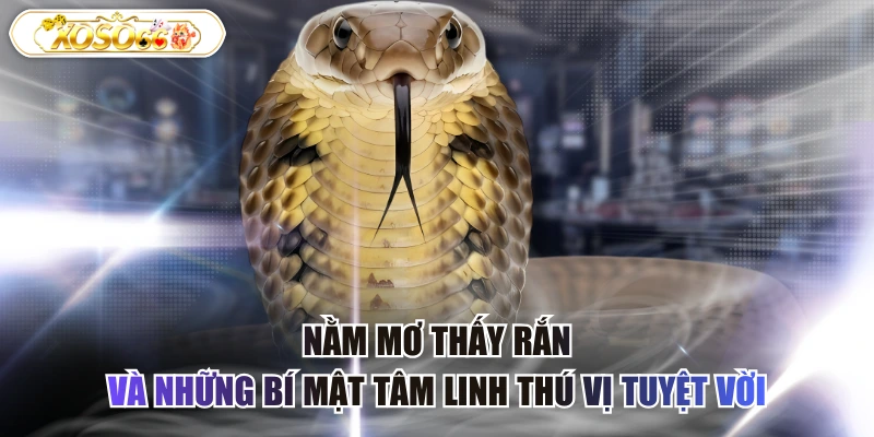 nằm mơ thấy rắn