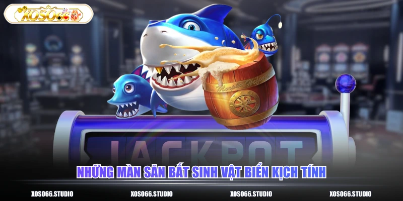 Những màn săn bắt sinh vật biển kịch tính