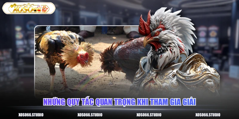 Những quy tắc quan trọng khi tham gia giải