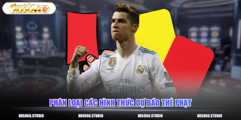 Phân loại các hình thức dự báo thẻ phạt