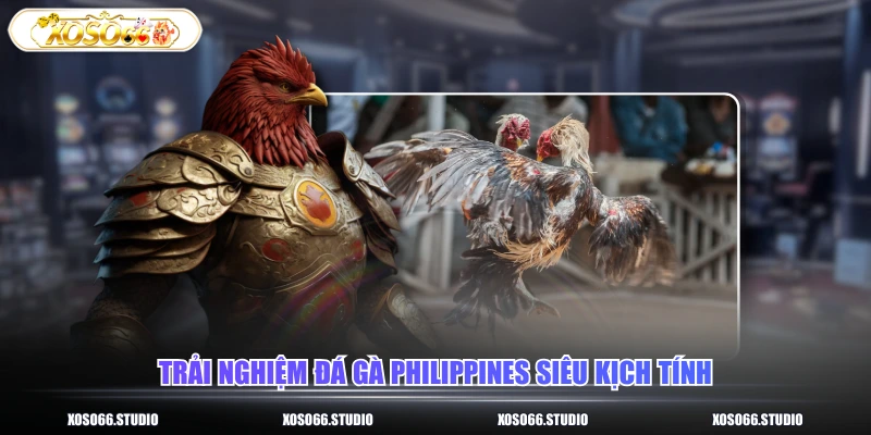 Trải nghiệm đá gà Philippines siêu kịch tính