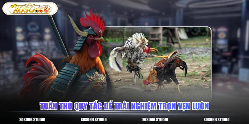 Tuân thủ quy tắc để trải nghiệm trọn vẹn luôn